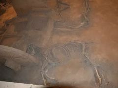 -洛阳周王城天子驾六博物馆