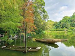 -深圳仙湖植物园