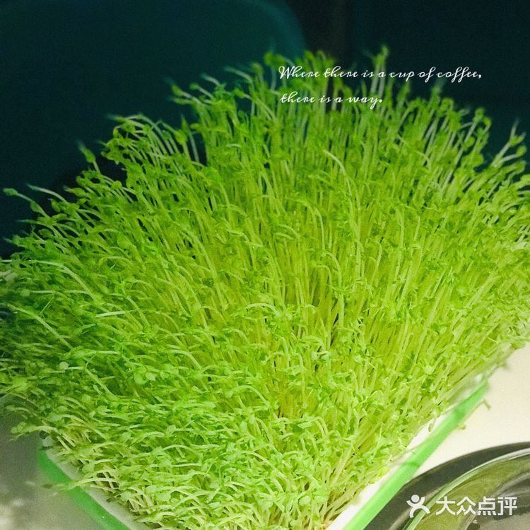 广州探店｜隐藏在琶醍7年的蒸汽火锅
