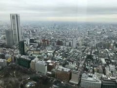 -东京都厅舍
