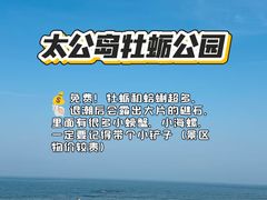-日照海滨国家森林公园