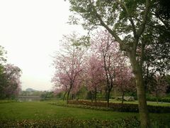 -南宁花花大世界景区