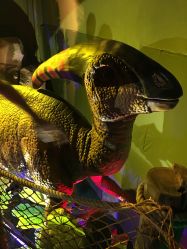 点击看大图 -恐龙探索乐园(磁器口店)