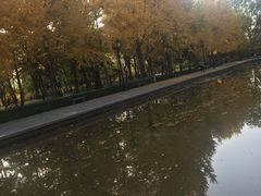 -玲珑塔公园