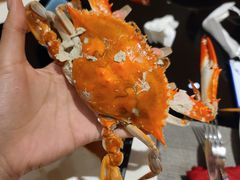 -富力希尔顿酒店·地阔自助餐厅