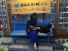 -猫的天空之城概念书店(丽江古城饮玉巷店)