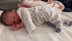 -海豚湾高端月子会所(黄浦店)