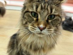 -1013 PET SHOP 宠物商店(近铁城市广场店)