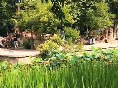 -莲湖公园