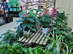 -城市名人壹超市(万达店)