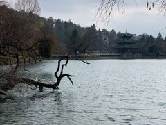-黑龙潭公园