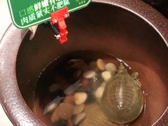 -望湘园·洞庭渔宴(永旺店)