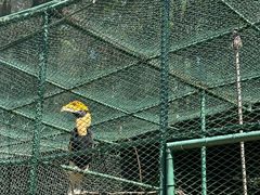 -哈尔滨北方森林动物园