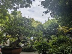 -成都杜甫草堂博物馆