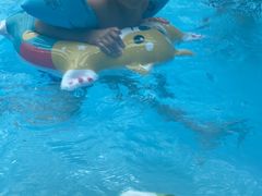 -青岛东方影都融创水世界