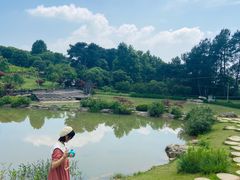 -铁山坪森林公园