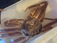 -吉友粥底火锅(方斜路店)