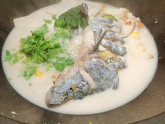 -鲜潭蒸汽石锅鱼(五道口购物中心店)