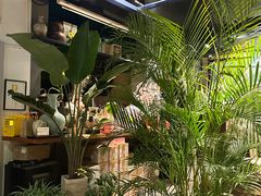 -谷咖啡·鲜花绿植花园餐厅
