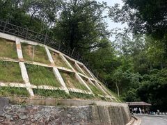 -大雁山风景区
