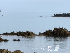 -小麦岛公园