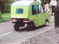 -黄海国家森林公园