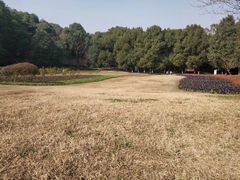 -富乐山