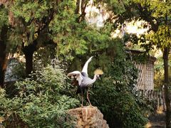 -昆明动物园