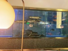 -顺峰顺水顺德菜(龙华店)