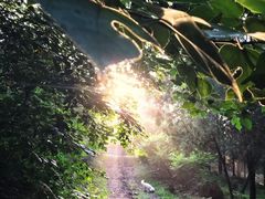 -白水寺森林公园