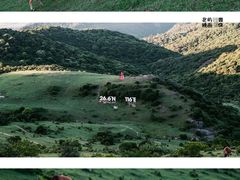 -大姆山草场