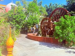 -品德宏·孔雀宴的发源地(金塔园店)