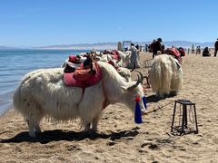 -青海湖国家重点风景名胜区