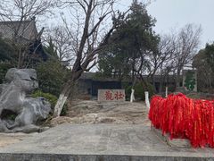-云龙山