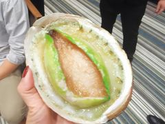 青边鲍-金唐海鲜酒家