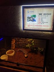 -未来动物城动物主题公园(大悦城店)