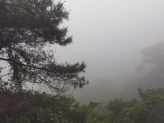 -鼎湖山风景区