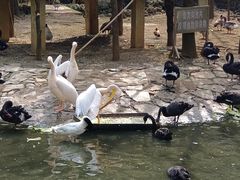-黔灵山公园