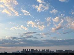 -贡湖湾湿地公园