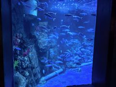 -太平洋海底世界