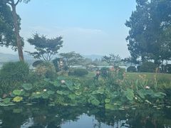 -杭州西湖柳莺里酒店·闻莺厅