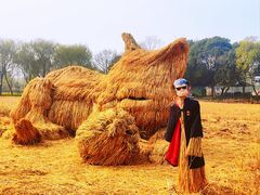-长兴太湖图影湿地文化园