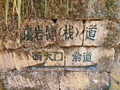 -南山植物园