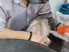 -宠物家(大兴旧宫店)