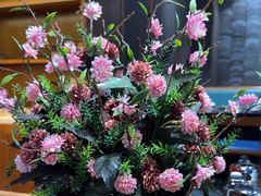 -野菌皇海景野生菌火锅(滨海大道店)