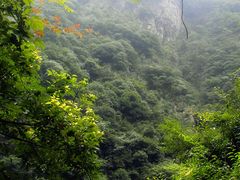 -宁波五龙潭景区