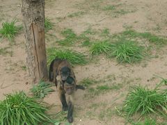 -鄂尔多斯野生动物园