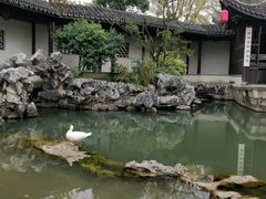 -巡塘古镇