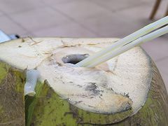 -力哥地道海南菜·联谊文昌鸡老店