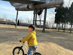 -咸阳湖景区